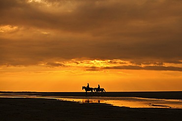 Horseriders at sunset on the beach of Borkum, Lower Saxony, Germany