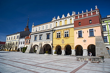 Old Market Square, Cathedral, fountain, city of Tarnow, Lesser Poland, Poland, Europe