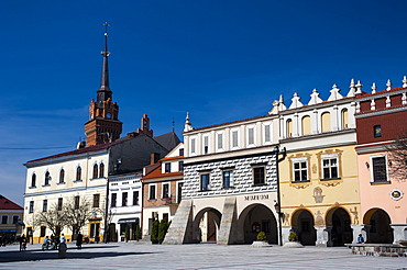 Old Market Square, Cathedral, fountain, city of Tarnow, Lesser Poland, Poland, Europe