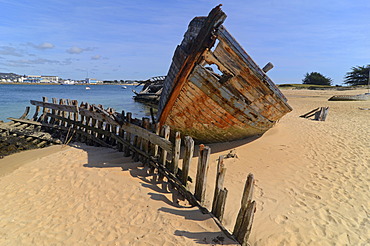 Wreck of an old wooden ship at the banks of river âˆšÃ¢tel, southern Brittany, Bretagne, France, Europe