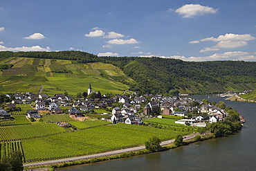 View of Ellenz-Poltersdorf and the Mosellele Valley as seen from Metternich castle, Moselle river, Rhineland-Palatinate, Germany, Europe