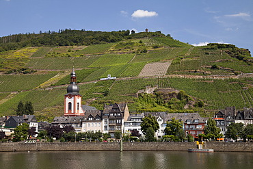 Townscape of Zell and the vineyard "Zeller Schwarze Katz", Moselle river, Rhineland-Palatinate, Germany, Europe, PublicGround