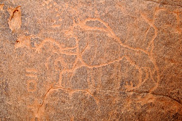 Lion engraving, neolithic rock art of the Tadrart, Tassili n'Ajjer National Park, Unesco World Heritage Site, Algeria, Sahara, North Africa