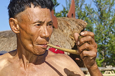 Man of the Samdom tribe with a pipe, at the annual Hornbill Festival, Kohima, Nagaland, India, Asia