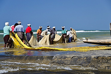 Fishermen fishing the traditional way, in a small village at the coast around Varkala, Kerala, India, Asia