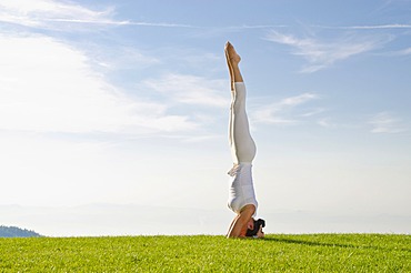 Young woman practising Hatha yoga outdoors, showing the pose sirshasana, head stand, Nove Mesto, Okres Teplice, Czech Republic, Europe