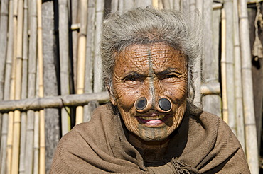 Old Apatani woman with the traditional noseplugs and tattoos, in front of her house, Hong village, Arunachal Pradesh, India, Asia