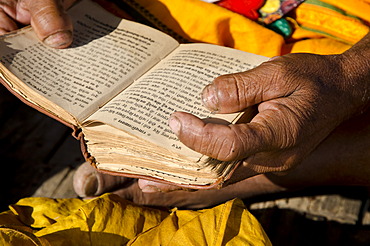 Sadhu reciting from the holy books in the morning, at Sangam, the confluence of the holy rivers Ganges, Yamuna and Saraswati, in Allahabad, Uttar Pradesh, India, Asia