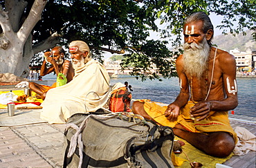 A small group of Sadhus doing their morning pooja at the ghats along the river Ganges in Haridwar, Uttarakhand, formerly Uttaranchal, India, Asia