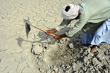 Farmer working on dried loamy soil, Basti Lehar Walla village, Punjab, Pakistan, Asia