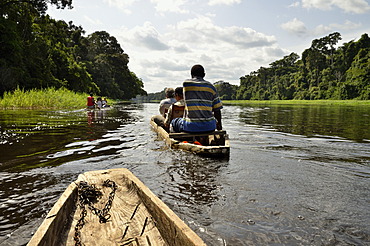 Tourists in canoes on the Nyong river, near YaoundâˆšÂ©, Cameroon, Central Africa, Africa