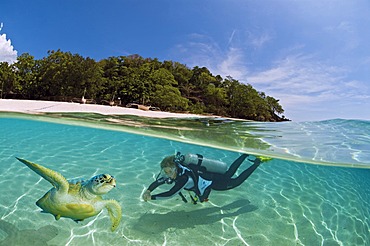 Female diver with a turtle in the shallow waters off an island, Dimakya Island, Palawan, Philippines, Pacific Ocean