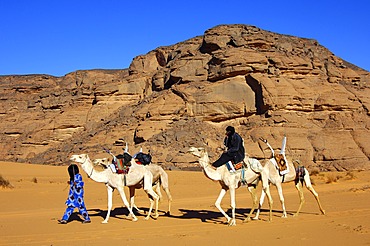 Tuareg with white Mehari riding dromedary, Acacus Mountains, Libya