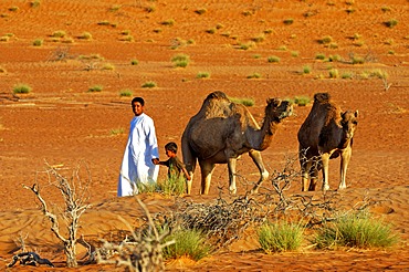 Nomad children with camels in the Wahiba Sands, Ramlat al Wahaybah, Oman