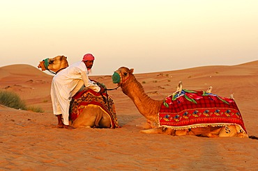 Camel guide and camel waiting for tourists, Dubai, United Arab Emirates, Middle East