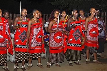 Women dance troupe in traditional dress at an evening event, Traditional Cultural centre Mantenga, Ezulwini Valley, Swaziland, Africa