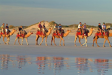 Camel caravan with tourists, Cable Beach, Broome, Kimberly, Western Australia