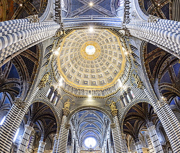 Interior view, dome of the Cathedral of Siena, Cattedrale di Santa Maria Assunta, main church of the city of Siena, Tuscany, Italy, Europe