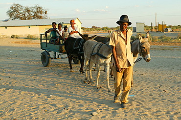 On the donkey cart, Sehitwa, Botswana, Africa