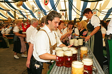 Attendees and wait staff in a beer tent at an international festival for national costume, Muehldorf, Upper Bavaria, Bavaria, Germany, Europe