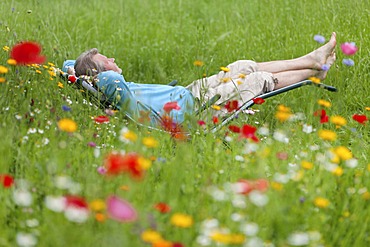 Man relaxing while lying in a deck chair in a flower meadow, Hagen, Lower Saxony, Germany, Europe