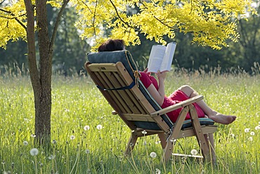 Young woman sitting and reading a book in a garden chair under a deciduous tree, Hagen, Lower Saxony, Germany, Europe