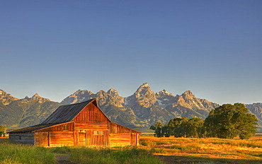 John and Bartha Moulton Homestead, Mormon Barn in the morning, historic barn of the Mormons in front of Teton Range, Mormon Row Historic District, Antelope Flats, Grand Teton National Park, Wyoming, United States of America, USA