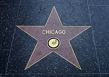 Terrazzo star for the band Chicago, music category, Walk of Fame, Hollywood Boulevard, Hollywood, Los Angeles, California, United States of America, USA, PublicGround