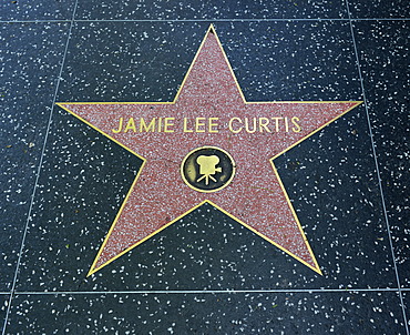 Terrazzo star for the actress Jamie Lee Curtis, film category, Walk of Fame, Hollywood Boulevard, Hollywood, Los Angeles, California, United States of America, USA, PublicGround