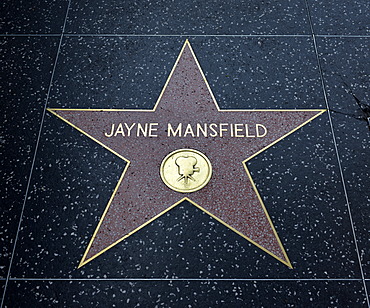 Terrazzo star for the artist Jayne Mansfield, film category, Walk of Fame, Hollywood Boulevard, Hollywood, Los Angeles, California, United States of America, USA, PublicGround