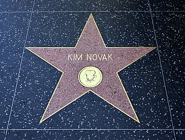 Terrazzo star for the artist Kim Novak, film category, Walk of Fame, Hollywood Boulevard, Hollywood, Los Angeles, California, United States of America, USA, PublicGround