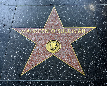 Terrazzo star for the artist Maureen O'Sullivan, film category, Walk of Fame, Hollywood Boulevard, Hollywood, Los Angeles, California, United States of America, USA, PublicGround