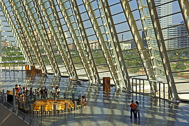 Foucault pendulum at Museo de las Ciencias PrÃ­ncipe Felipe, Principe Felipe Science Museum, City of Arts and Sciences by Santiago Calatrava, Comunidad Valenciana, Valencia, Spain, Europe