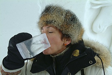 CAN, Canada, Quebec: Ice Hotel in Duchesnay, Ice bar