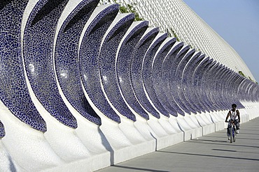 ESP, Spain, Valencia : Ciudad de las Artes Y de las Ciencias, City of arts and sciences. L\'Umbracle