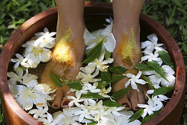 LKA, Sri Lanka : Siddhalepa Ayurveda Resort, Food massage, oiling, herb bath fot feet.