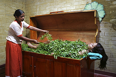 Siddhalepa Ayurveda Resort, body steam bath with fresh ayurvedic herbs, Lka, Sri Lanka