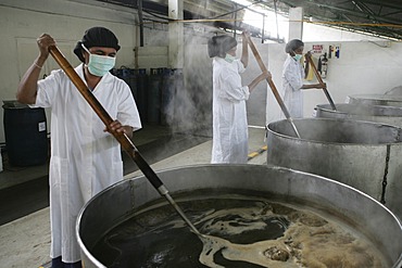 LKA, Sri Lanka : Production of ayurvedic medicine at Hettigoda Industries, the oldes manufacturer of ayurvedic products.