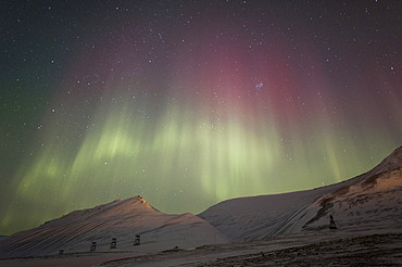 Green and red polar lights, northern lights, aurora borealis above a snow-covered landscape, landscape being illuminated by lights from civilisation, Spitsbergen, Svalbard, Norway, Europe