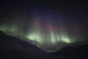 Polar night, green Northern Lights, Aurora Borealis, above the Todalen Valley, starry sky of a moonless night, Longyearbyen, Spitsbergen, Norway, Europe