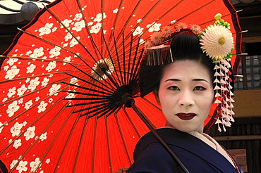 A Maiko, a trainee Geisha, carrying a red sun parasol or umbrella, Kyoto, Japan, Asia