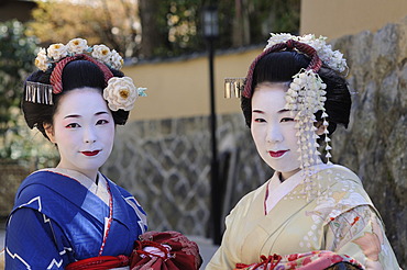 Maikos, geishas in training, in the Gion district, Kyoto, Japan, Asia