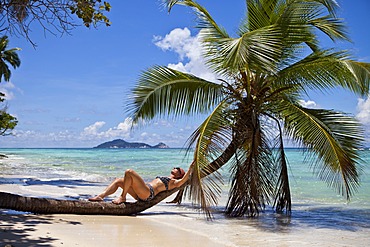 Woman in a bikini relaxing on a palm tree, Anse La Passe, Silhouette Island, Seychelles, Africa, Indian Ocean