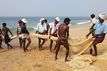 Fishermen pulling in a net, beach south of Kovalam, Malabar Coast, Malabar, Kerala, southern India, India, Asia