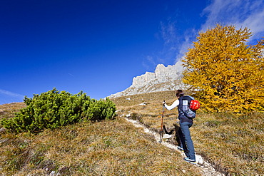 Ascent of Piz Boe Mountain on the Piazzetta Climbing Route, Dolomites, Alto Adige, Italy, Europe