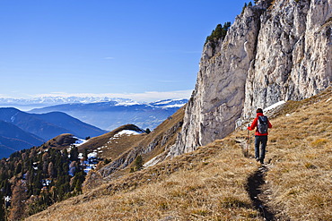 View from the Herrensteig hiking trail over the Kofelwiesen alpine pastures in Villnoess Valley, Dolomites, Alto Adige, Italy, Europe