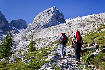 Climbers ascending Mt. Marmolada, Dolomites, Westgrat fixed rope route, Mt. Marmolada in the back, Trentino, Italy, Europe