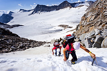 Mountaineers climbing Vertainspitze mountain, Ortler Alps, province of Bolzano-Bozen, Italy, Europe