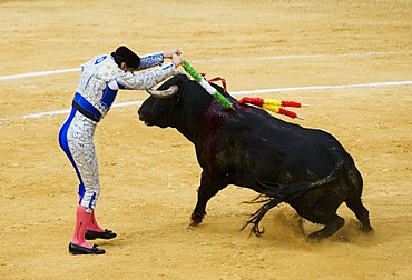 Matador, bullfighter, Benidorm, Spain, Europe