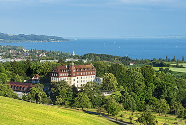 View across a pasture to Lake Constance with Schloss Spetzgart Castle, town of Ueberlingen at back, Lake Constance region, Baden-Wuerttemberg, Germany, Europe